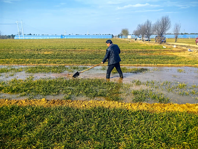 冯家山水库灌区春灌.png